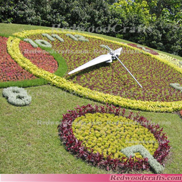 Flower Clocks,Flora Clocks